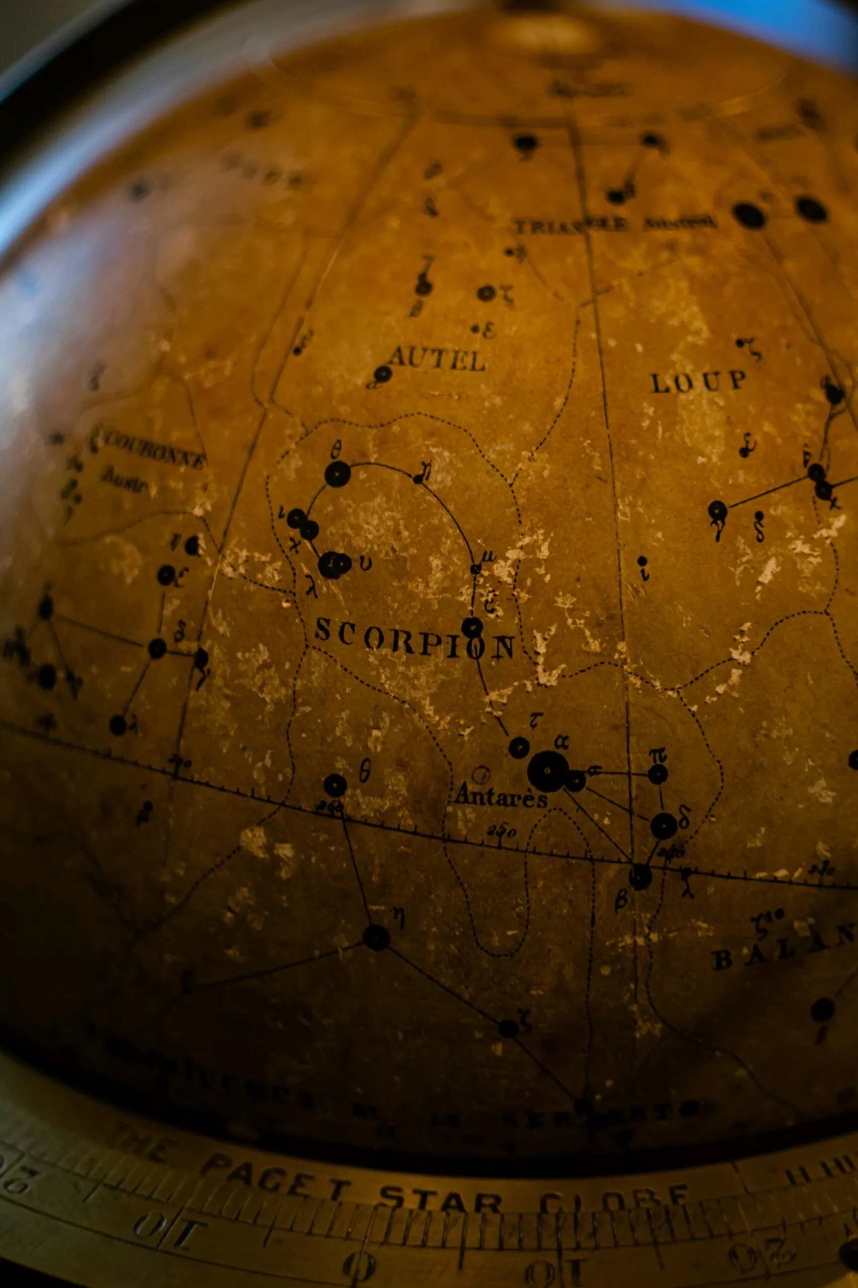 VIP Astrology Session